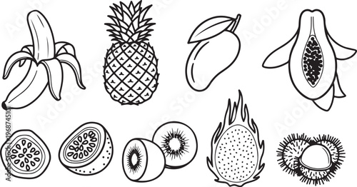 Illustrations of various insect wings and body parts in black and white Vector