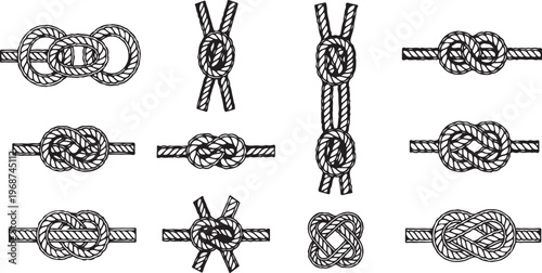 Illustration of various dragonflies and moths in detailed black and white line art Vector