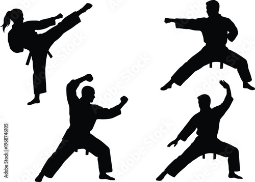 Karate practitioners in dynamic martial arts poses and movements vector illustration