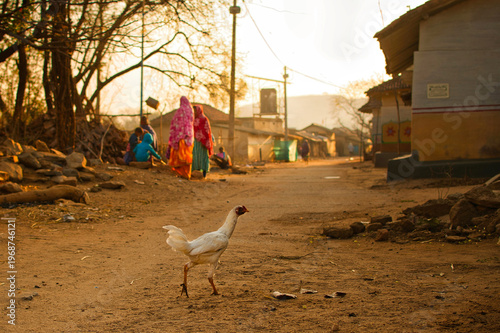Rural village scene at dawn when people and animal activities are seen in morning golden light.  