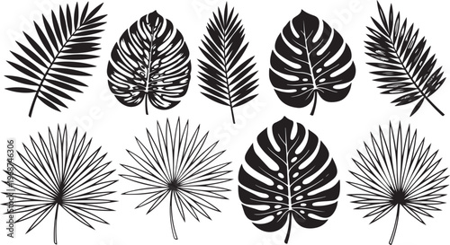 A collection of nine distinct black star shapes with varying patterns Vector