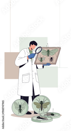 Scientist Examining Preserved Insects With Magnifying Glass and Display Case