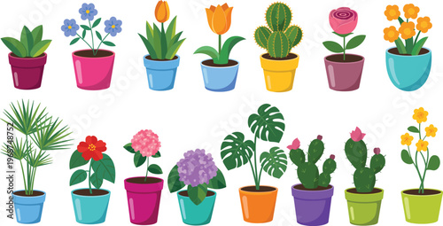 Colorful potted plants with various flowers in different pots and vases