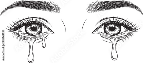 vector illustration of a female eye with makeup and detailed eyelashes and eyebrow design
