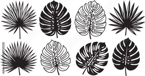 Symmetrical black and white mandala patterns in circular designs Vector