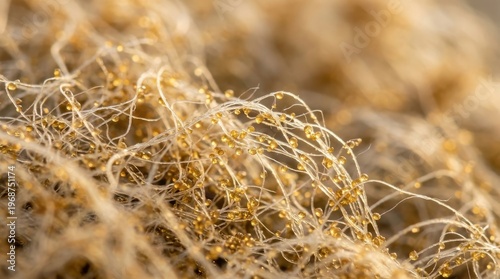 Close-up macro shot of golden fungal spores or mold growing on natural fibers, with a soft focus and warm, earthy tones.