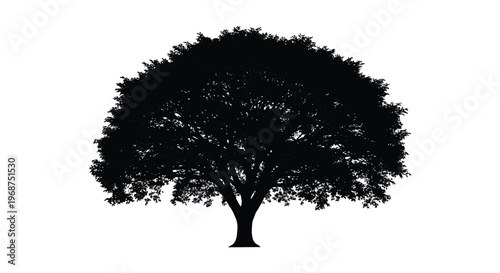 A striking black silhouette of a large mature tree with dense foliage against a plain white background silhouette high quality professional