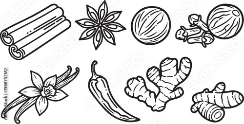 Line drawings of various sea creatures including octopus and jellyfish Vector