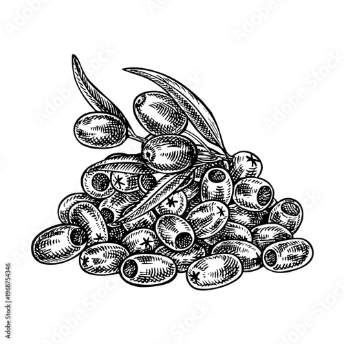 A handful of pitted olives. Black and white graphic vector illustration drawn by hand. Isolate. Perfect for labels, prints, and decor, as well as packaging, banners, posters, and more.