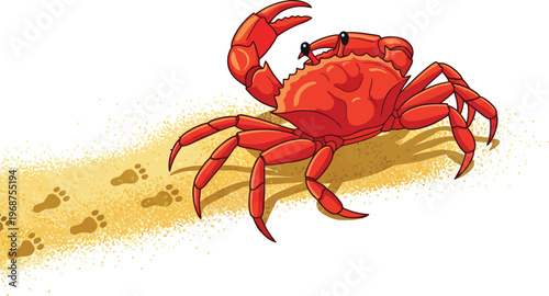A Red Crab Walking on Sand Leaving Footprints.