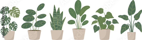 Green leafy houseplants in white pots on windowsill indoors green leaves indoor plants