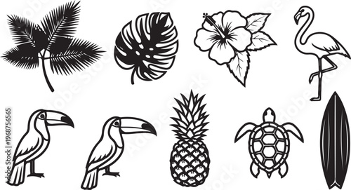 Outline sketches of various echinoderms including sea urchins, starfish, and sea cucumber Vector