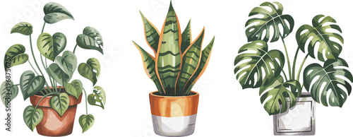 Green potted houseplants on windowsill with natural sunlight and decorative vase green leaves potted plants