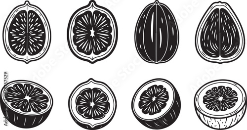 Stylized black and white wheel designs with radial symmetry and geometric patterns Vector