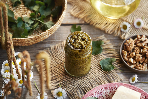 Pesto made of fresh young garlic mustard leaves - a wild edible plant harvested in early spring