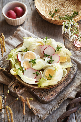 A plate of vegetable salad with chickweed - wild edible plant collected in early spring
