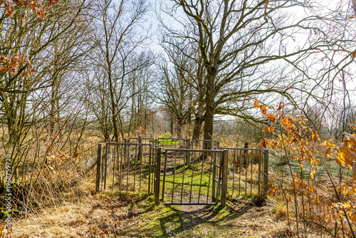Fences and gates closing off the hiking trail in Tosch-Langeren nature reserve, bare trees surrounding the path amidst landscape of wild grass and dry scrubland, winter day in Maaseik, Belgium
