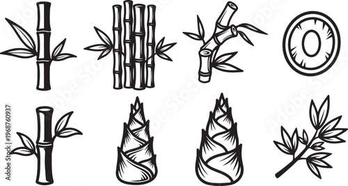 Illustrations of different types of plant species and botanical structures Vector