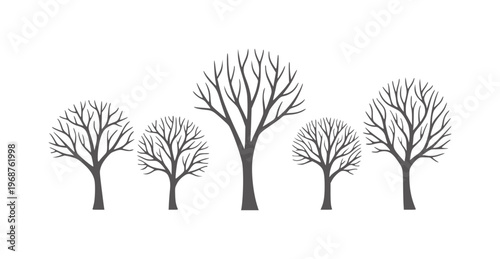 Five bare trees silhouetted against a white winter dark
