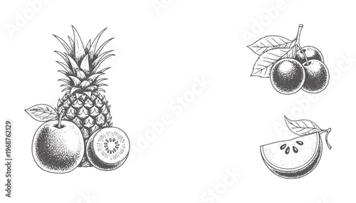 Hand drawn of pineapple apple kiwi cherries and apple slice fruit cherry