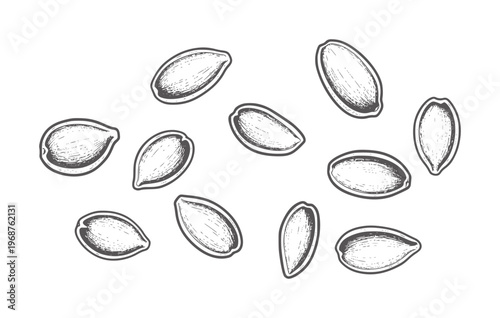 Hand drawn of scattered pumpkin seeds in black and white food ingredient organic