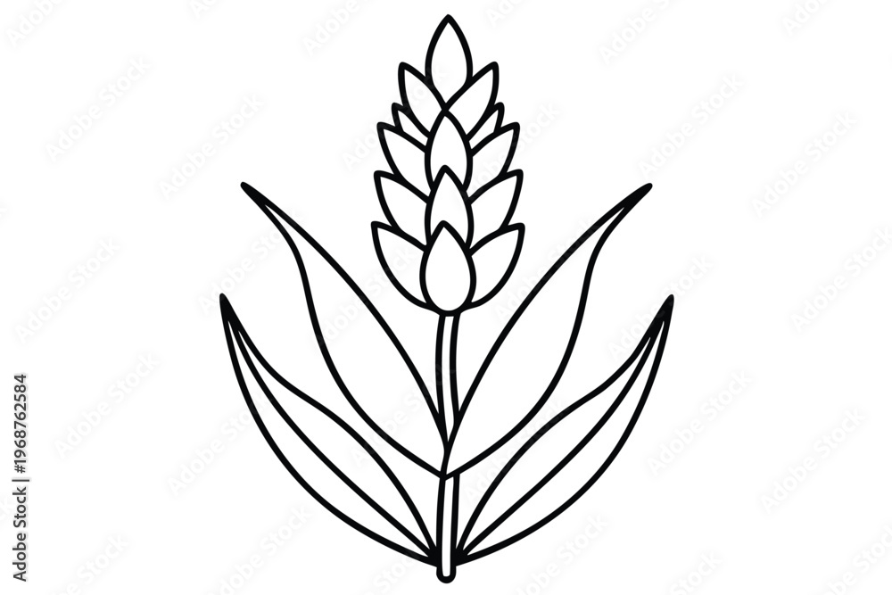 Obraz premium lavender flower silhouette line art vector illustration with a white background