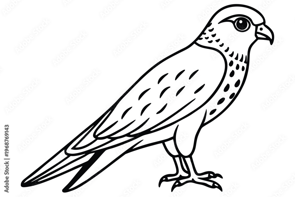 Fototapeta premium kestrel bird silhouette line art vector illustration with a white background