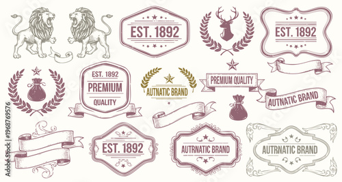 Calligraphic design elements . Decorative swirls and scrolls, vintage frames , flourishes, labels and dividers. Vector illustration