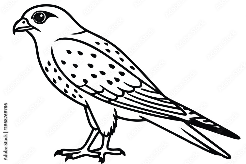 Fototapeta premium kestrel bird silhouette line art vector illustration with a white background