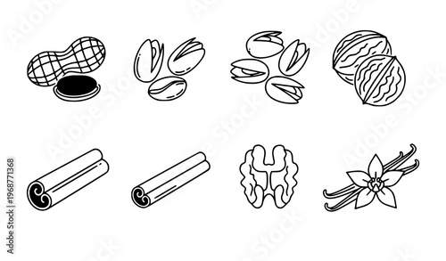 Nuts and Spices Icon Set Vector Peanuts Pistachios Walnuts Cinnamon Vanilla
