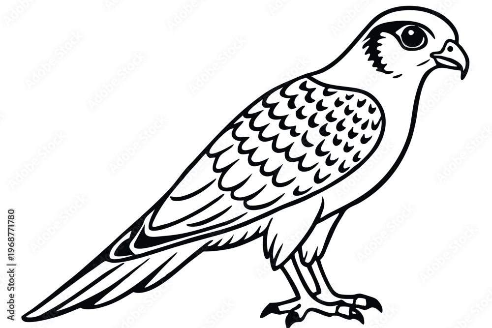 Fototapeta premium kestrel bird silhouette line art vector illustration with a white background