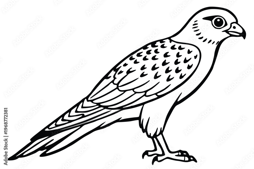 Fototapeta premium kestrel bird silhouette line art vector illustration with a white background