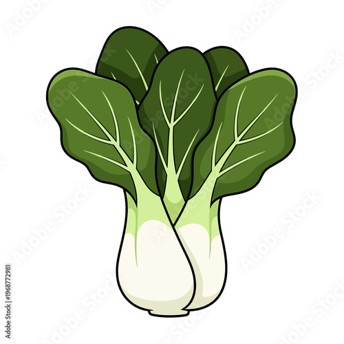Fresh Bok Choy Vegetable Illustration - Healthy Food Icon