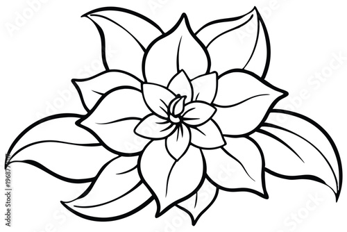 jasmine flower silhouette line art vector illustration with a white background