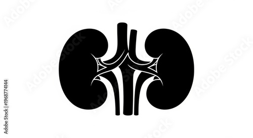 Human Kidney System Minimalist Vector Illustration Silhouette