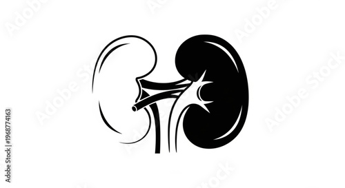 Human Kidney System Minimalist Vector Illustration Silhouette