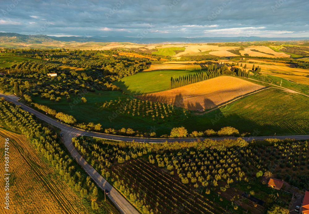 Fototapeta premium Tuscany hills landscape with cypress trees and winding road, San Quirico d'Orcia, Italy.