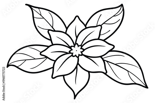 jasmine flower silhouette line art vector illustration with a white background