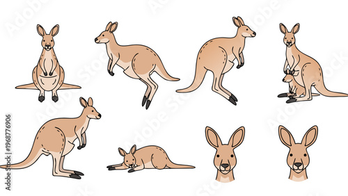 Collection of cute cartoon kangaroos in various poses and expressions, isolated on white