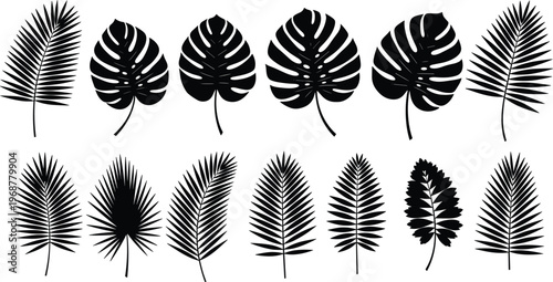 Tropical leaf silhouettes set featuring monstera deliciosa, palm fronds, jungle foliage, exotic botanical plant elements, black vector icons for summer designs.