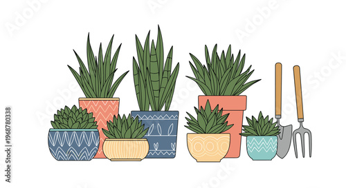 Horizontal arrangement of various green succulents and houseplants in patterned pots with a hand shovel and rake.