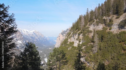 Aerial drone footage rising from forest to dramatic alpine valley with snow covered mountain peaks