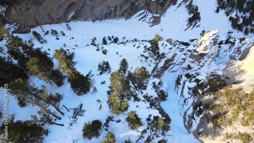 Aerial drone footage tilting from top down snowy alpine forest to dramatic mountain range panorama
