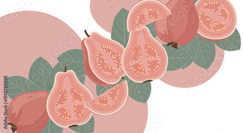 Pink Guava Fruit Halves and Slices with Leaves, Tropical Food Illustration