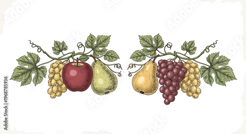 Vintage Fruit Garland: Apples, Pears, and Grapes Border