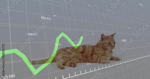 Green graph entering from left, crossing ginger cat, causing tail flick and head tracking for data