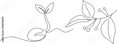 Continuous line drawing of a germinating seed growing into a plant next to a leafy berry branch. Vector