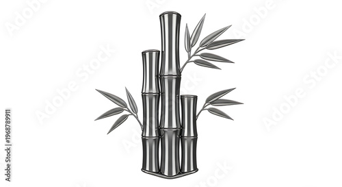 illustration of bamboo stalks with leaves isolated on white background, illustration