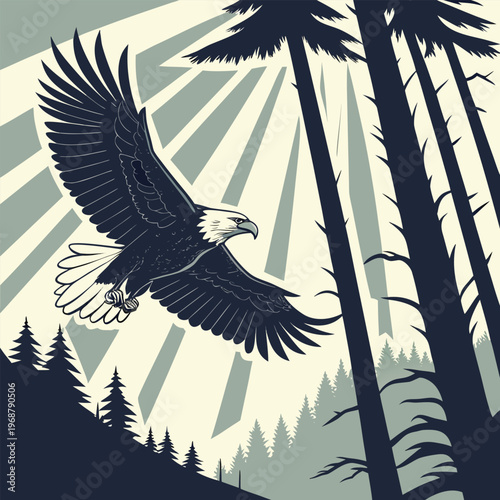 Majestic bald eagle soaring above a dark forest with pine trees with bird of prey with national bird