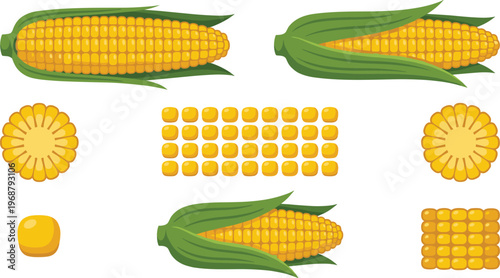 Corn Food Flat Vector Set. Corn food flat vector set with cob kernels and slices isolated colorful simple illustration